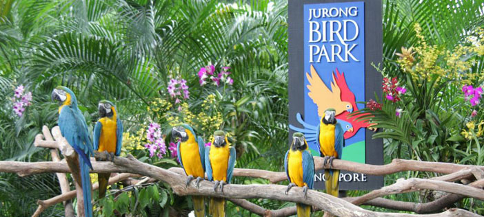 Jurong Birds Park