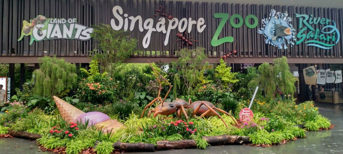 Singapore Zoo